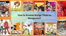 How to Browse Manga Titles on Manganato?